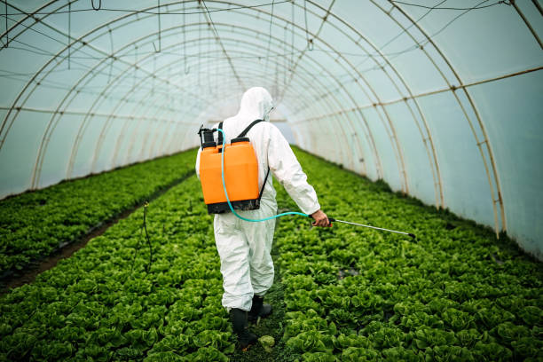 Professional Pest Control in Inwood, NY