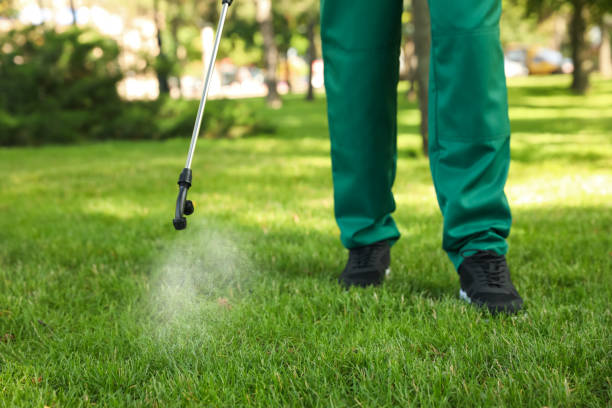 Best Wildlife Control Services  in Inwood, NY