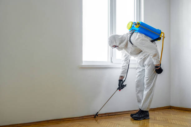 Wildlife Control Services in Inwood, NY