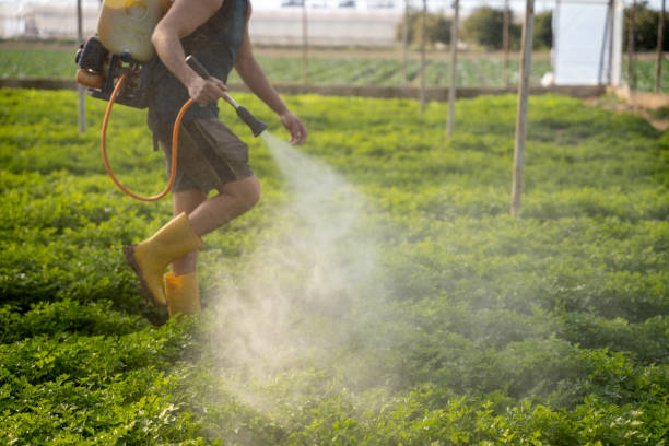 Best Mosquito Control Services  in Inwood, NY