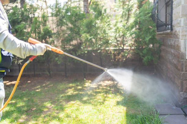 Flea Control Services in Inwood, NY