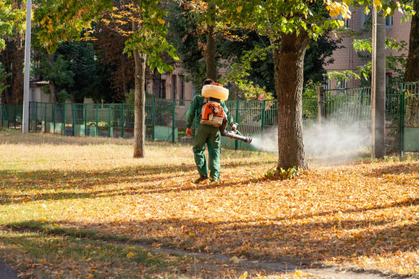 Best Wasp Removal Services  in Inwood, NY