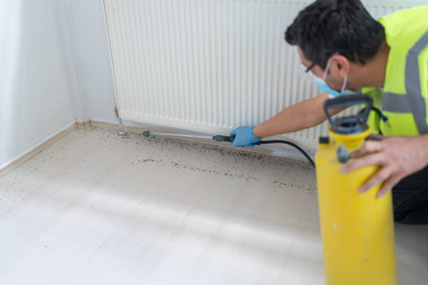 Best Best Pest Control Companies  in Inwood, NY