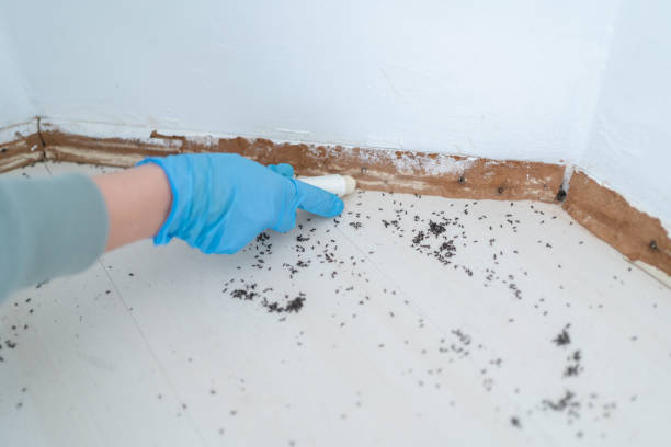 Pest Control Cost in Inwood, NY