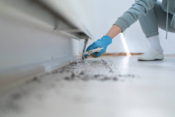 Best Pest Prevention Services  in Inwood, NY